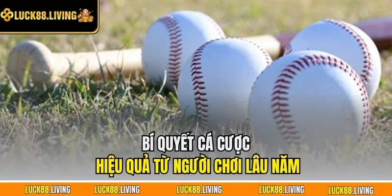 Bí quyết cá cược hiệu quả từ người chơi lâu năm
