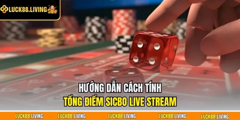 Hướng dẫn cách tính tổng điểm Sicbo Live Stream